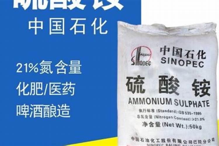 尿酸高痛风能喝红茶吗