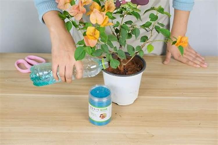 莴苣用什么肥料变高变粗 附莴苣的种植方法