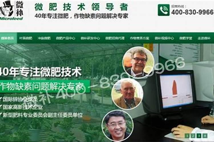 无患子这吋侯叶子变黄和有的枯死是什么原因？