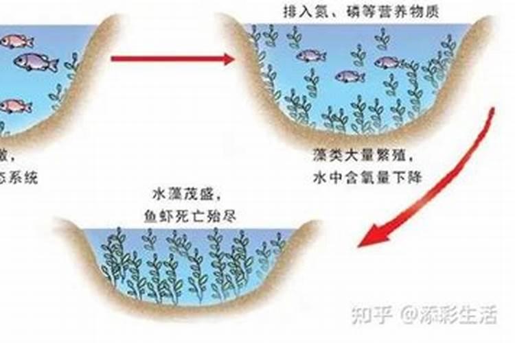 打蔬菜的农药一般在几点打是最好的？