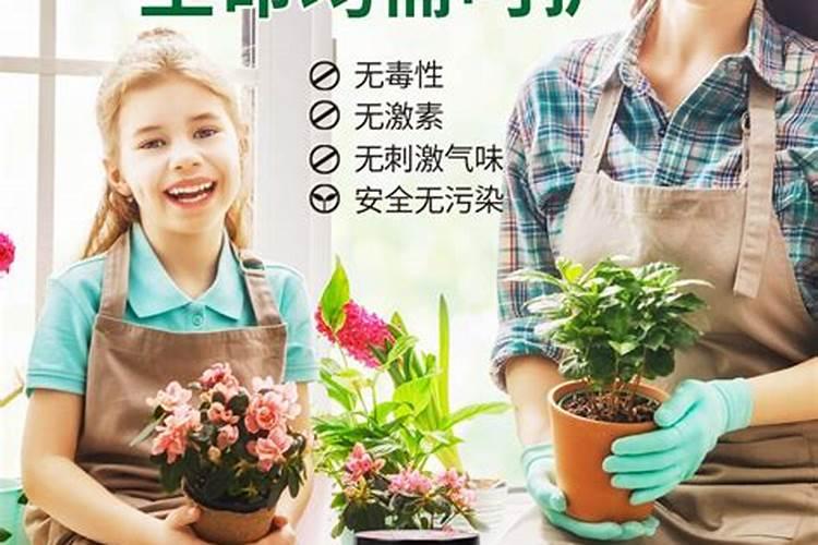 韭菜应该施什么肥