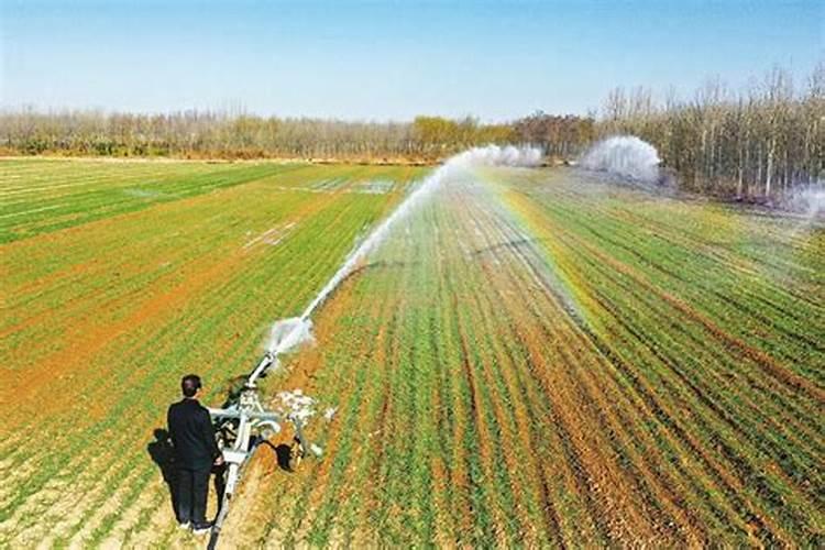 小麦冬季施肥的最佳时间(冬季小麦施肥在年前还是年后啊)