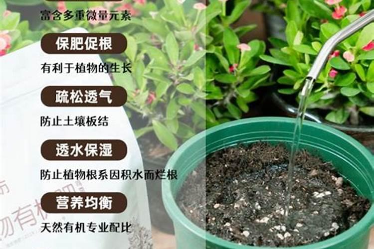 西瓜底肥用什么肥料？