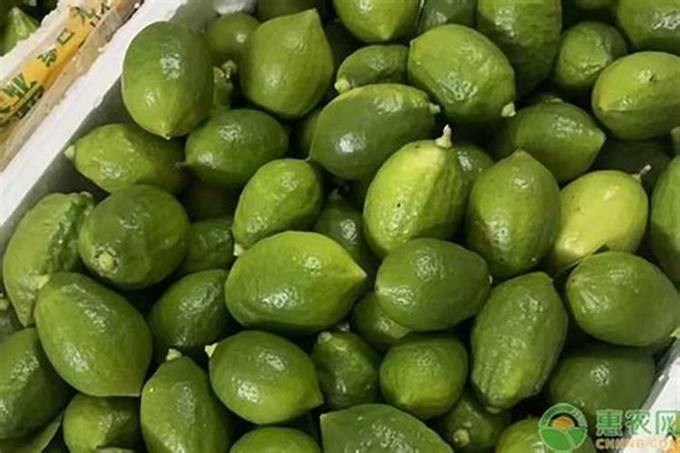 在37度的高温天气下适合给蔬菜浇水吗