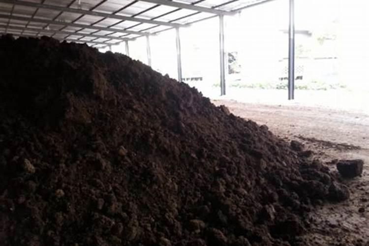 芦荟如何用施肥