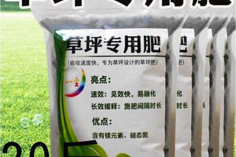 草皮如何施肥