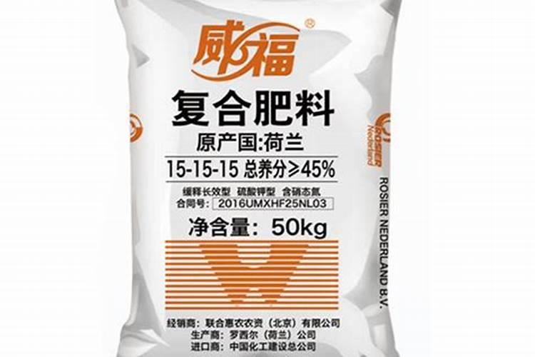 月季修剪后如何养护新芽多又粗壮