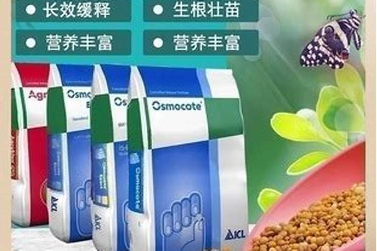 全水溶钾肥和硼砂一起浇西红柿吗