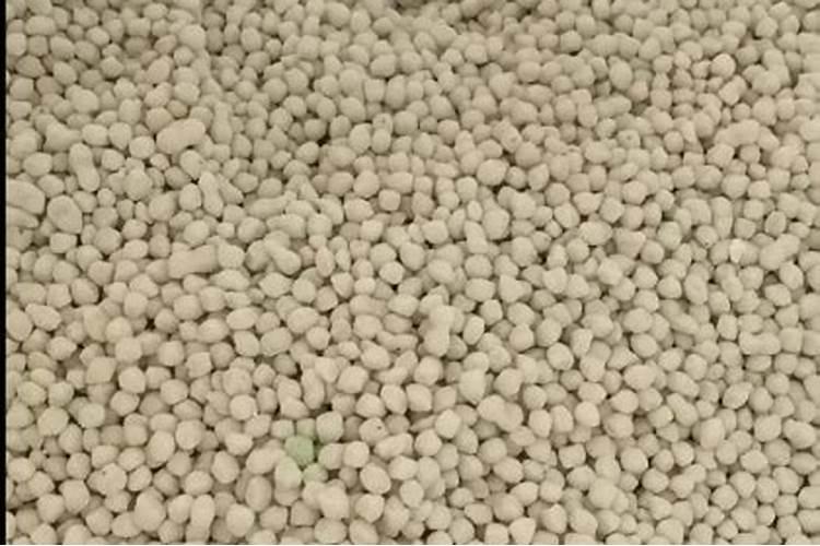 金心吊兰用什么土养