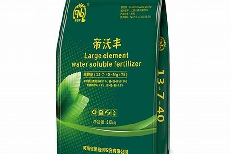 令箭荷花怎么施肥