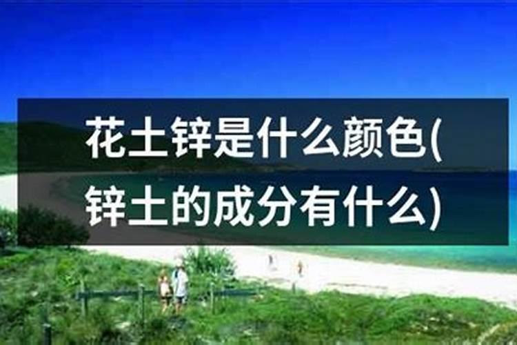 长春花怎么水培生根