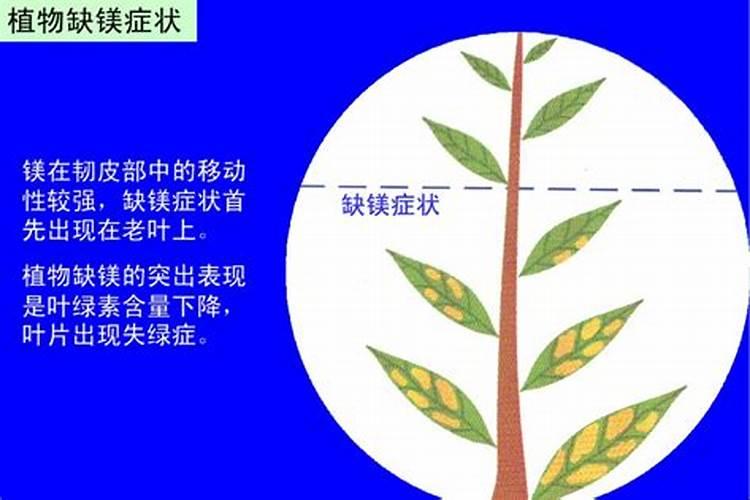 如何提高氮磷钾肥的功效