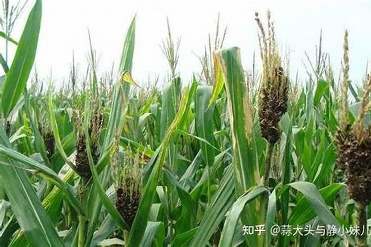 怎么利用液体能发明