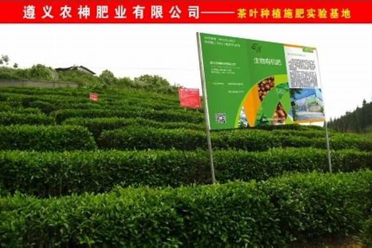 贵阳开磷化肥有限公司怎么样？