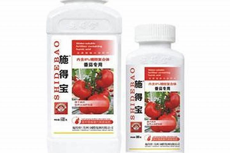 梅花施肥时间和方法