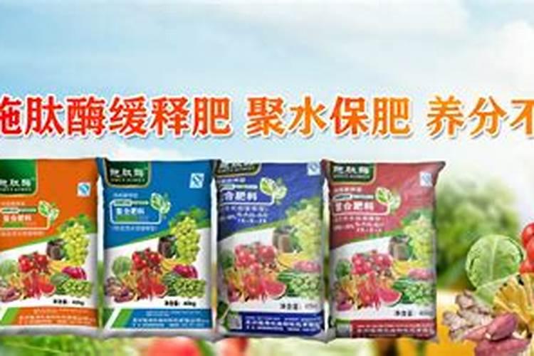 芦荟应该如何施肥最科学？