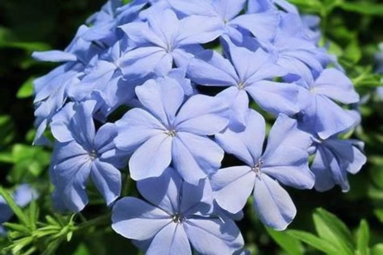 河北拜沃生物技术有限公司怎么样？