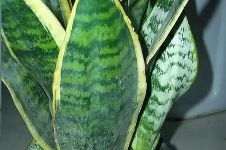 书对我们有什么好处和作用呢？