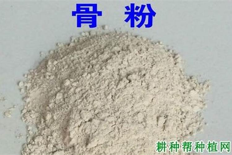 骨粉的正确施肥方法