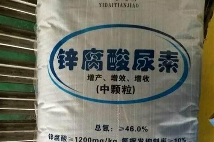 水果玉米市场效益高？学会4点种植技术,轻松种出高效益水果玉米