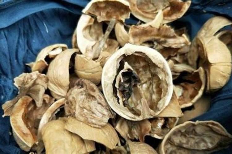 用坏核桃仁怎样做肥料 如何用坏核桃仁做肥料