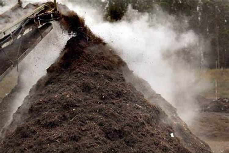 鸡蛋壳是磷肥还是钾肥