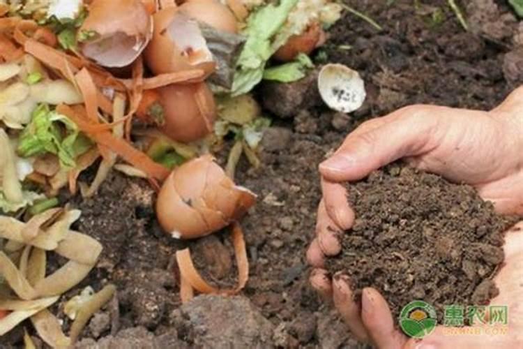 什么才是真正的长效芸苔素？芸苔素持效期长有什么效果？