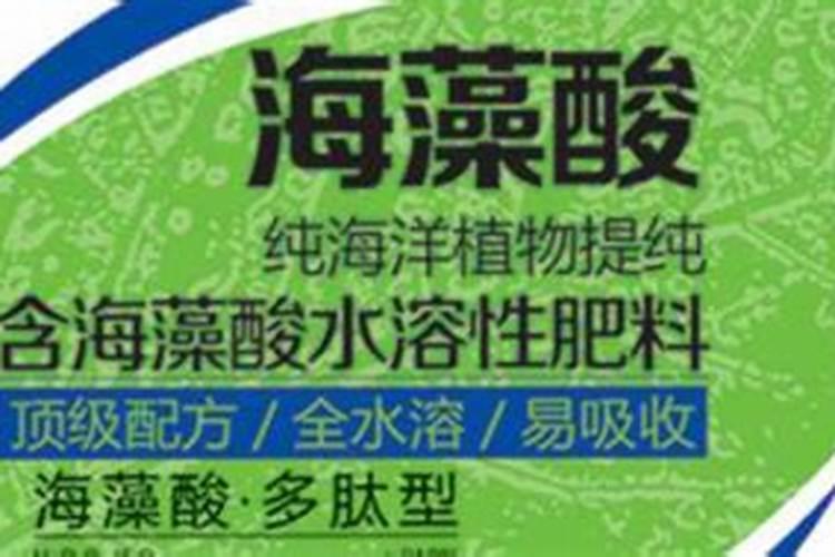 海藻肥属于什么肥料,附使用方法