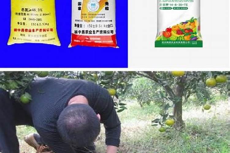 钾肥的缺乏和过量对草莓有什么危害？