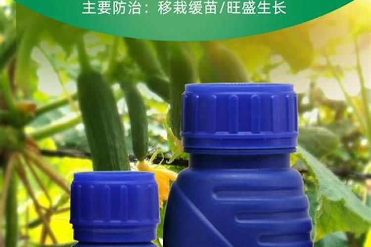 板栗用什么复合肥好 板栗树施肥用什么肥料最好