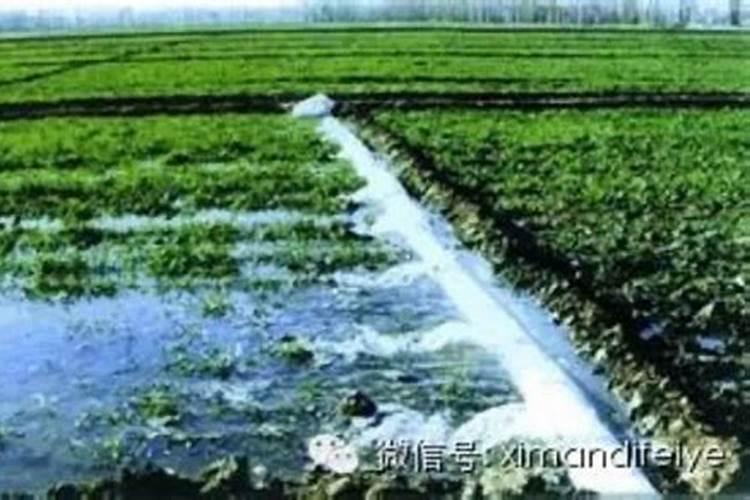 小雨可以撒施冲施肥吗