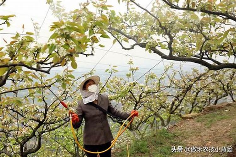 大连双鑫甲壳素商城保健品可信吗？