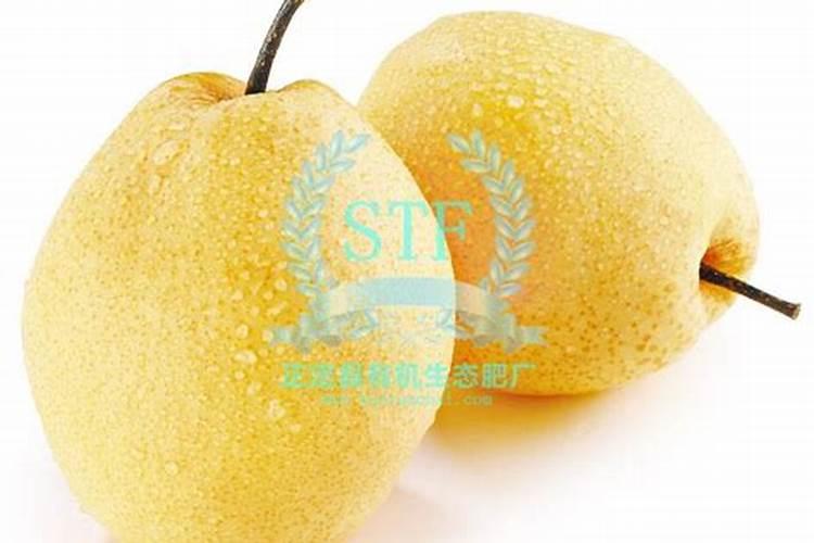 韭菜栽种多长时间可以施肥