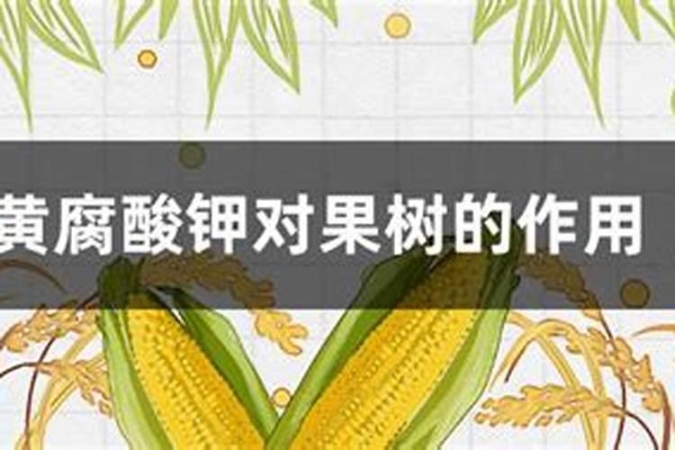 黄腐酸钾的使用方法