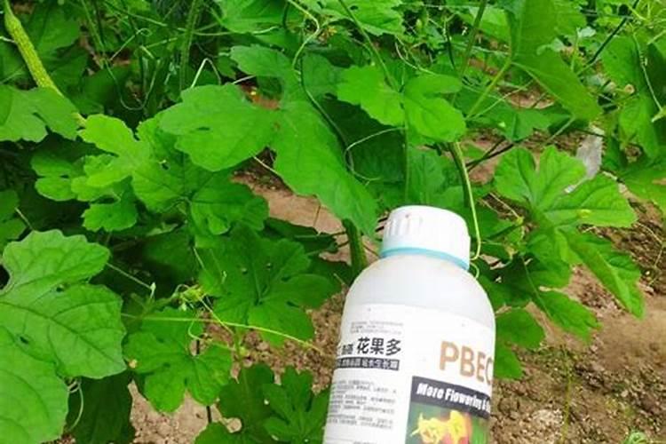 硼肥可以与磷肥混施吗？