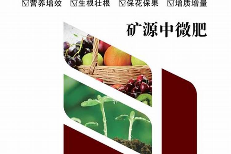 茄子不爱结果使用什么肥料