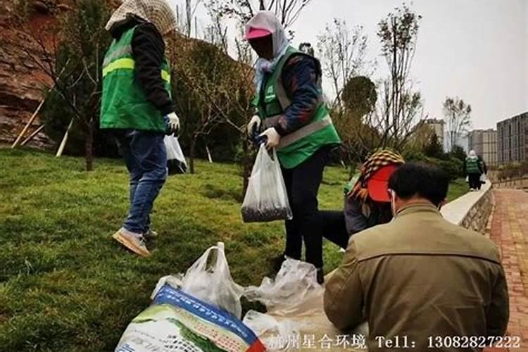 春季绿化养护肥料