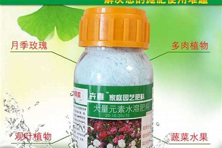 在给蔬菜选择钙肥时,都有哪些技巧呢？