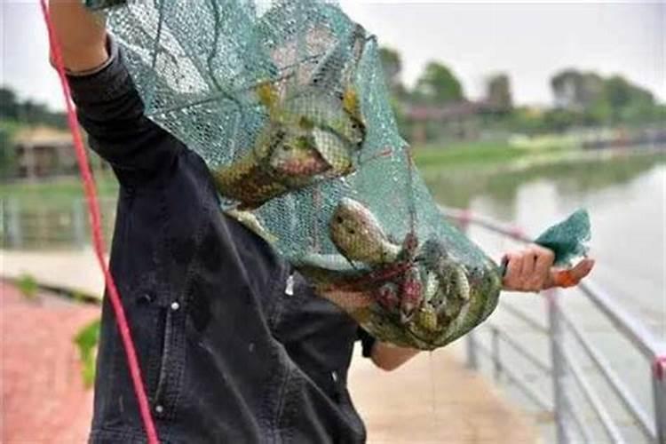 鱼塘下尿素多久鱼开口 教你鱼塘选肥及施肥的技巧