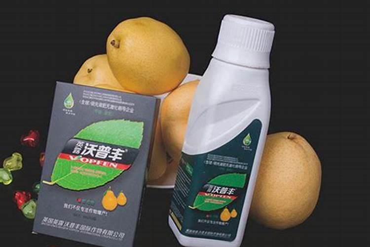 米饭多久发酵成花肥