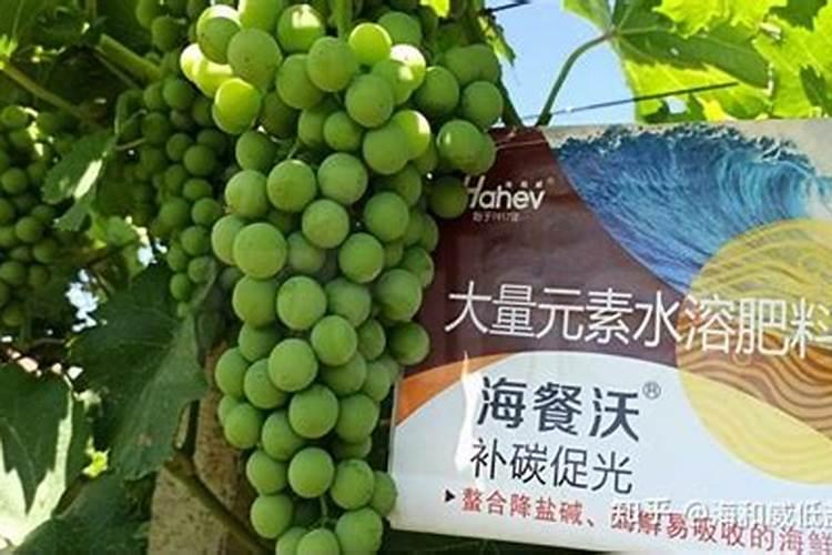 如何施用镁肥？