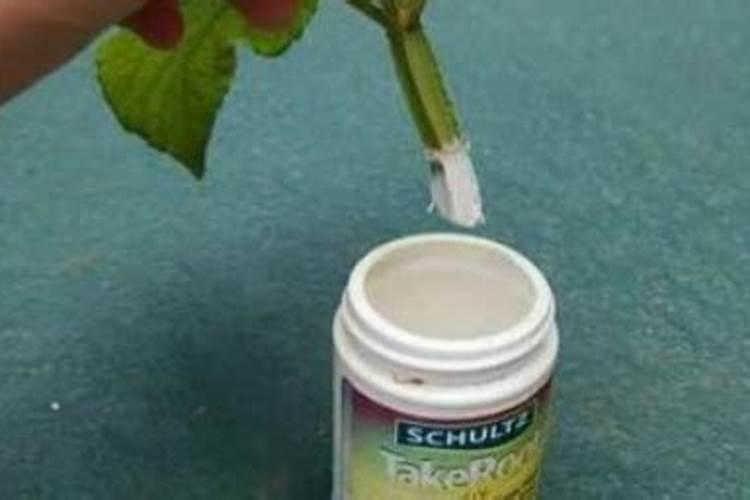 氮肥不兑水,直接埋土里行吗