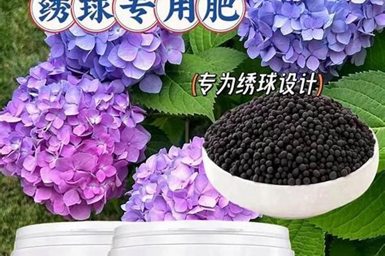 养花氮肥有哪些