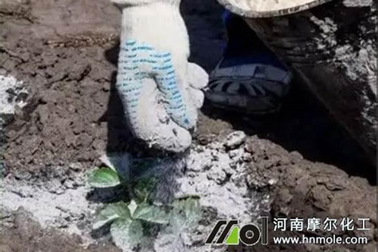 水溶肥料的密度是多少