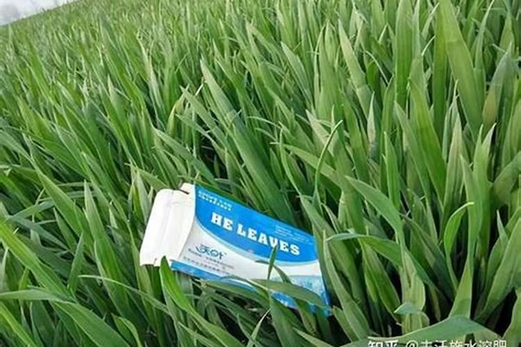 颗粒水溶肥为什么火了