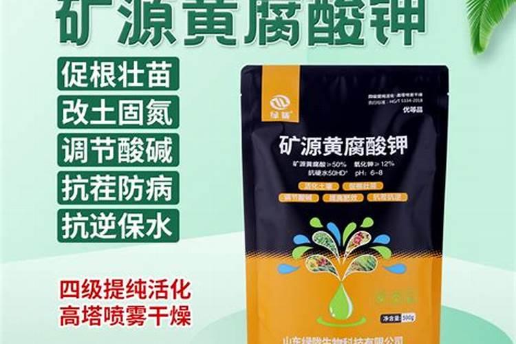 天脊硝酸磷肥80斤多少钱一袋