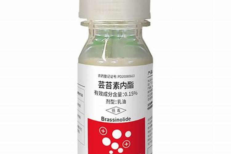 怎么养护蝴蝶兰根旺生长猛