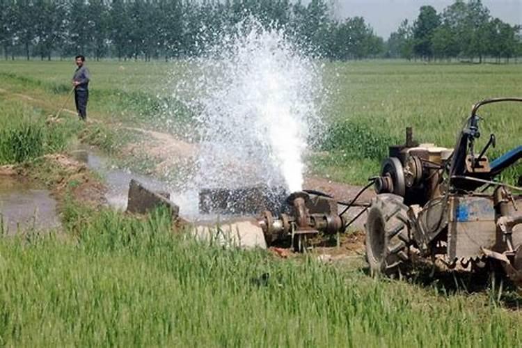 水稻缺钾和偏施氮肥有哪些联系？