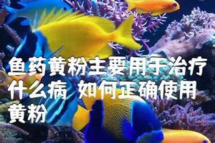 摩力克窗帘好不好