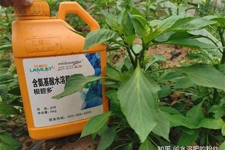 开花后使用花多多2号会怎样。谢谢
